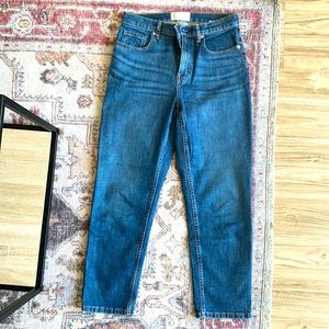 Everlane Original Cheeky Jean